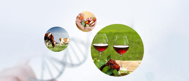 企業(yè)榮譽(yù)